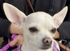 Daisydady