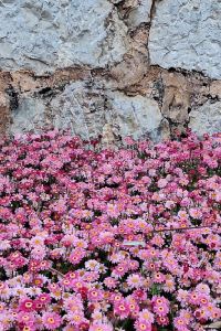 Audrey Explorer 索美塞特房車公園酒店優惠