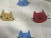 Cat_C