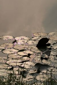 AndyT 錦江之星風尚（中山石岐大信新都滙店）優惠