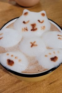 KiKi Yuen 素坤逸13巷城市別緻飯店-康帕斯飯店集團優惠