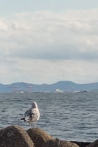 인왕산불닭발