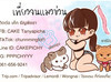 เที่ยวจนแมวข่วน