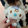 Cat Ip0513