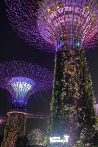 hadulyuki 湯の川プリンスホテル渚亭 クーポン