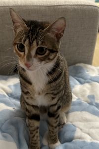 Rufuss Vala Hua Hin - Nu Chapter Hotels華欣瓦拉 - 努章飯店優惠