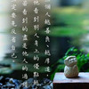 韶之悠