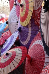 kiyokabu ルートイングランティア知床-斜里駅前- クーポン