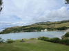 미미guam