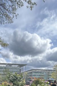 Vivian999 聖何塞機場福朋喜來登飯店優惠