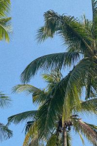 Lyn’s Vacation AC LUXE安赫萊斯貝斯特韋斯特SureStay Plus飯店優惠