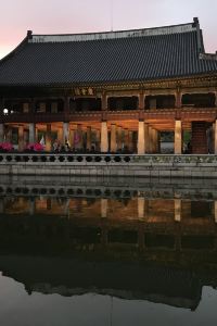 skycool ファーストキャビン 御堂筋難波 クーポン