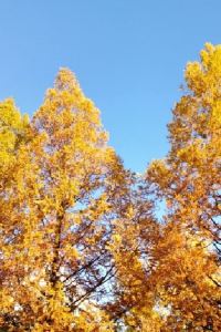 レンズまめ OwlStay 故事所 夾腳拖的家 長安122優惠