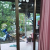 supawadee treeyoung