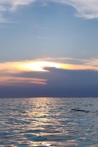 naaayj ヴィラフォンテーヌ東京浜松町 クーポン