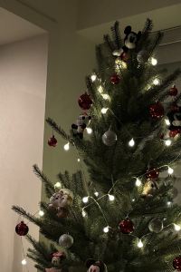 阿亭 新北大埔硫磺溫泉商旅優惠