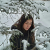 Auzii