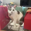 Avatar 3