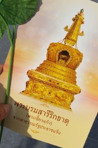 cat ng bc 京都四條烏丸口袋飯店-私人客房優惠