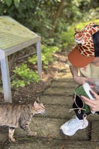 傑尼龜龜愛去玩 花蓮力麗華美達安可酒店優惠
