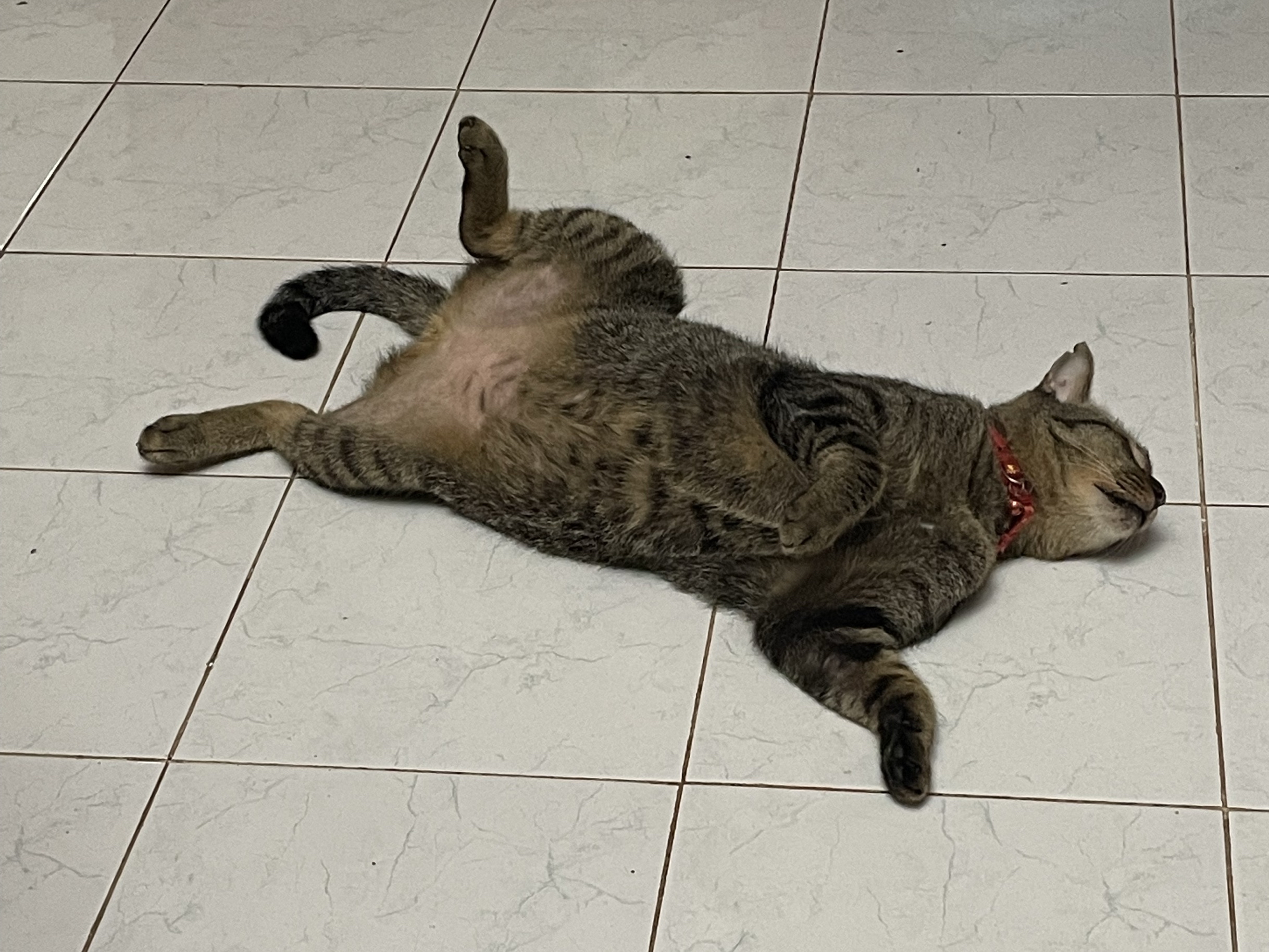 ไข่หวาน