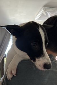 道宗和尚 InterContinental Hotels 波爾圖洲際飯店優惠