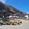 코니코니