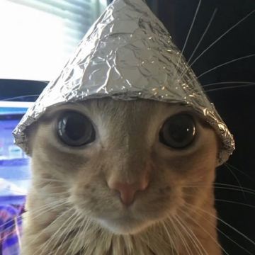 user-avatar
