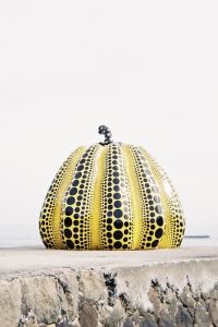 ゲスト 中央アルプス・ホテル千畳敷 クーポン