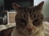 Nidjiiii