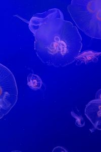 Nov28 夏都富朗飯店優惠