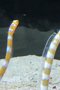 めぐみ丸 四日市シティホテルアネックス クーポン