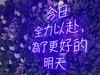 Cryzt0