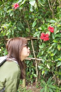 Cona Chen 新竹煙波大飯店-都會一館優惠