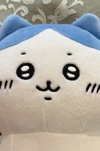 AskaLove 京都トラベラーズ・イン クーポン
