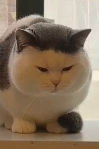 Samantha Fung LIA力亞飯店（深圳前海寶安中心翻身地鐵站店）優惠