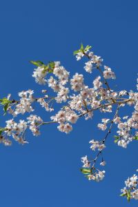 MCheese UNIZO飯店-名古屋站前優惠