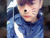 呆熊30