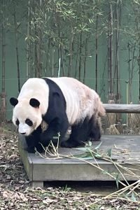 햄님zz 월드스카이호텔 쿠폰