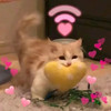 tianyi_kuang