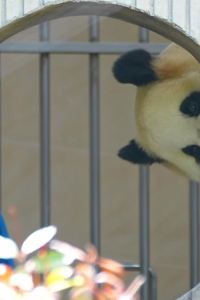 빼꼼푸 UHG 隆路區酒店優惠