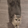 MichaelChan_LA