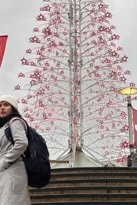 Caramel Diary 聖詹姆斯背包客旅館優惠