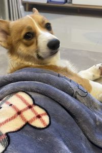 Mint Trip 新宿王子大飯店優惠