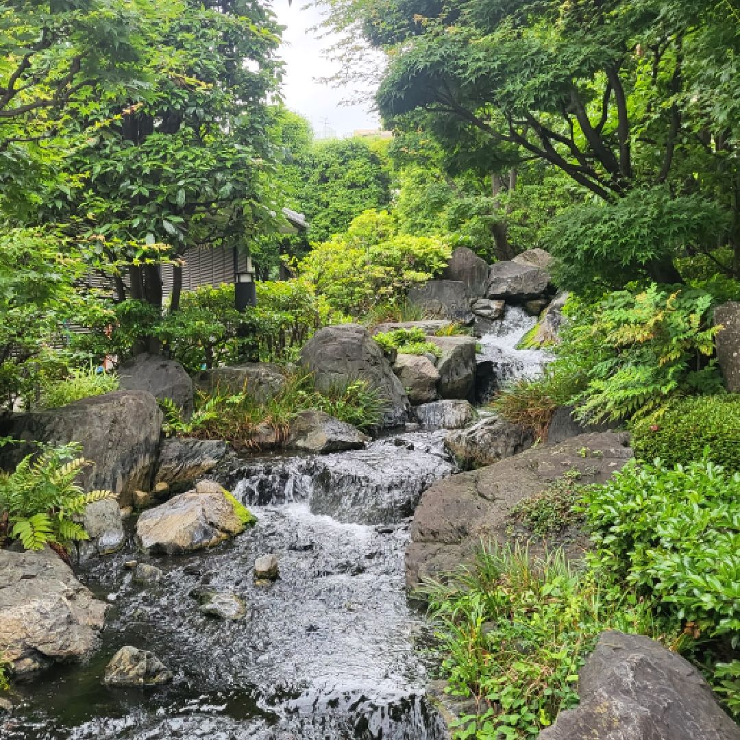 열심맘
