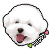 JSB teddy
