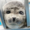 Kseal