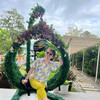 Happy traveling rose