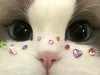uamuu