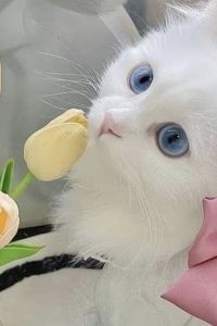 sakura.. ウォーターマークホテル長崎（ハウステンボス直営） クーポン